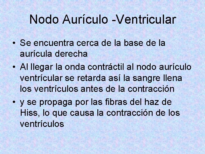 Nodo Aurículo -Ventricular • Se encuentra cerca de la base de la aurícula derecha