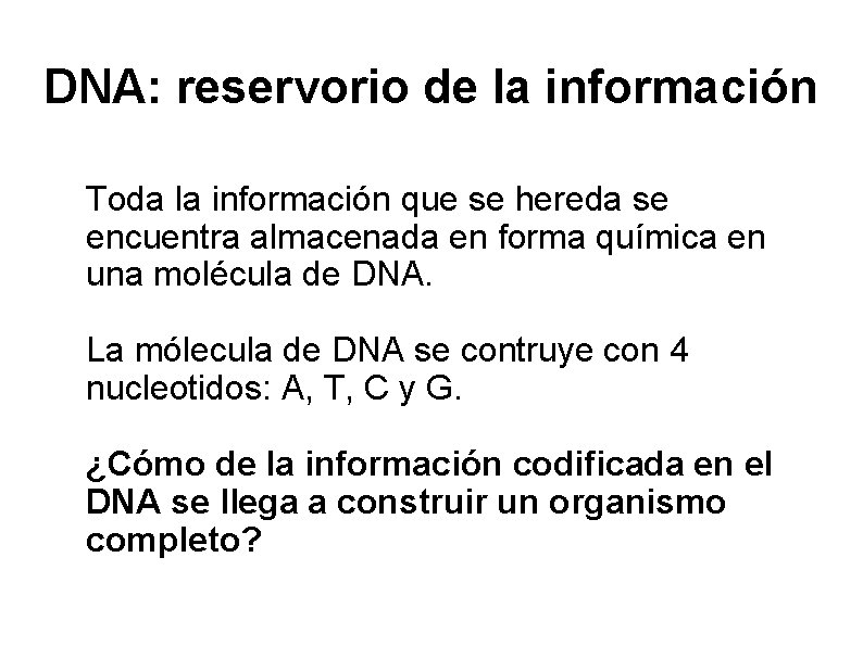 DNA: reservorio de la información Toda la información que se hereda se encuentra almacenada