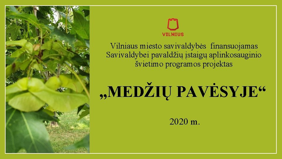 Vilniaus miesto savivaldybės finansuojamas Savivaldybei pavaldžių įstaigų aplinkosauginio švietimo programos projektas „MEDŽIŲ PAVĖSYJE“ •