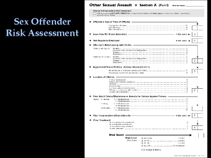 Sex Offender Risk Assessment 