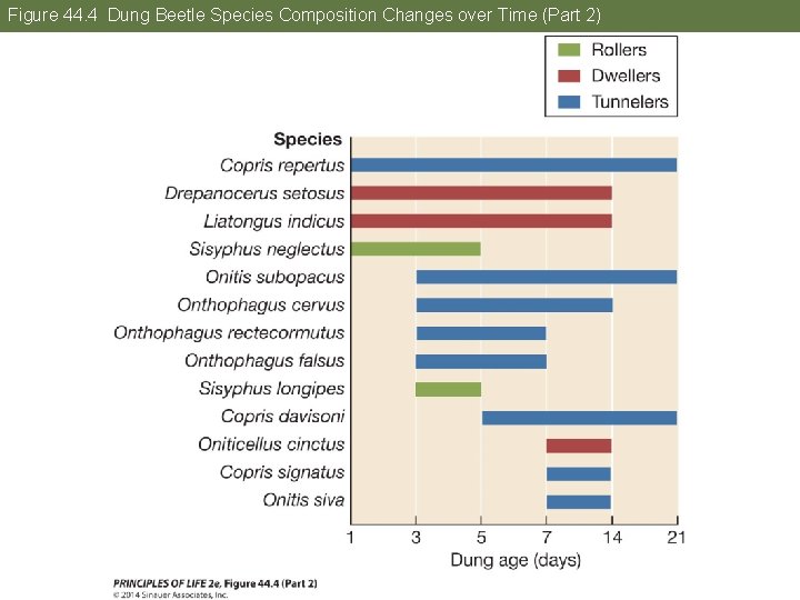 Figure 44. 4 Dung Beetle Species Composition Changes over Time (Part 2) 