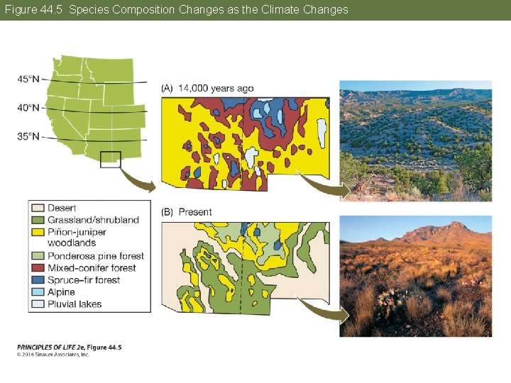 Figure 44. 5 Species Composition Changes as the Climate Changes 