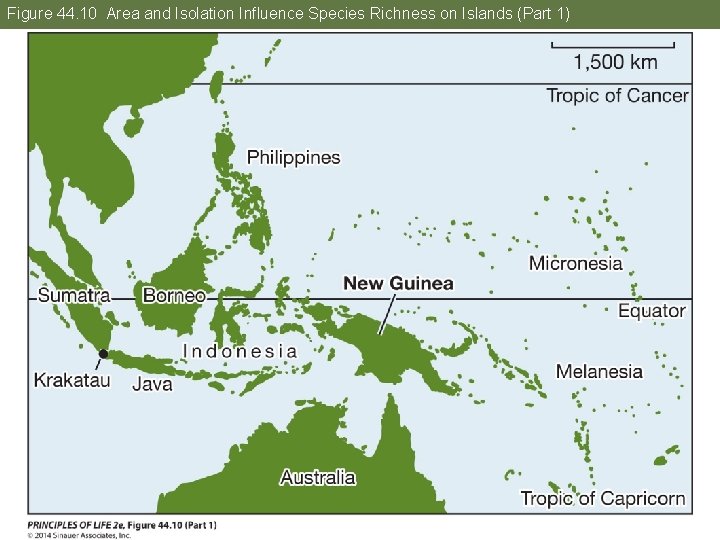 Figure 44. 10 Area and Isolation Influence Species Richness on Islands (Part 1) 