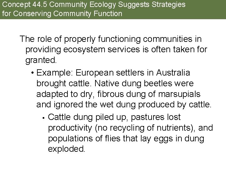 Concept 44. 5 Community Ecology Suggests Strategies for Conserving Community Function The role of