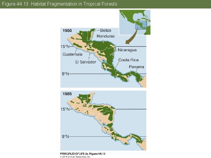 Figure 44. 13 Habitat Fragmentation in Tropical Forests 