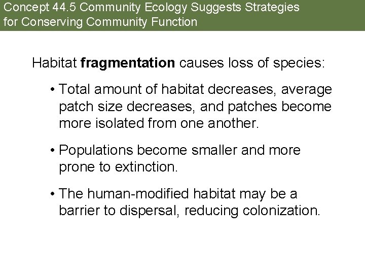 Concept 44. 5 Community Ecology Suggests Strategies for Conserving Community Function Habitat fragmentation causes