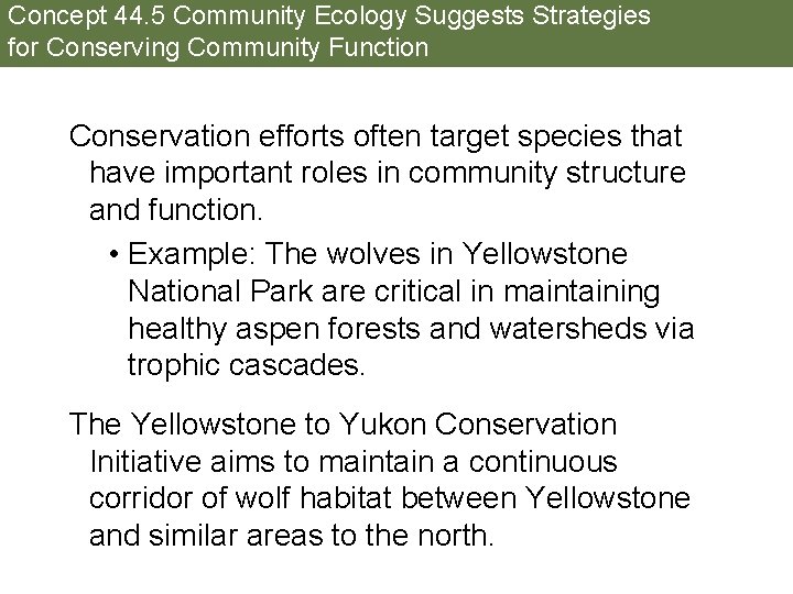 Concept 44. 5 Community Ecology Suggests Strategies for Conserving Community Function Conservation efforts often