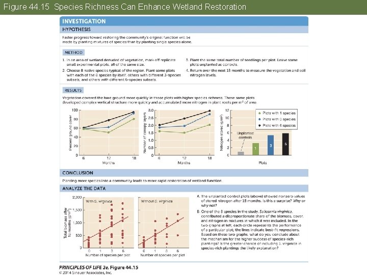 Figure 44. 15 Species Richness Can Enhance Wetland Restoration 