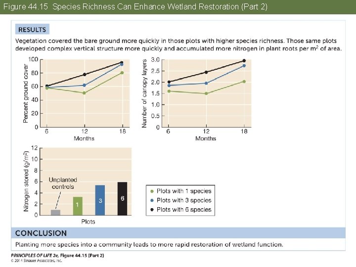 Figure 44. 15 Species Richness Can Enhance Wetland Restoration (Part 2) 