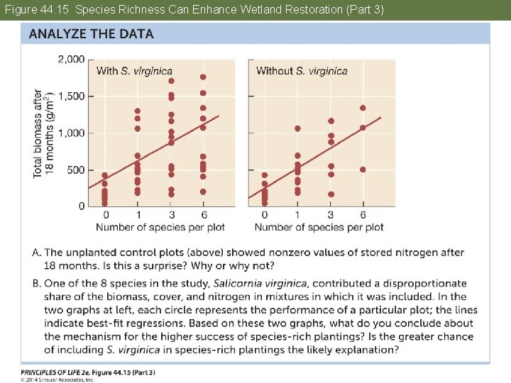 Figure 44. 15 Species Richness Can Enhance Wetland Restoration (Part 3) 