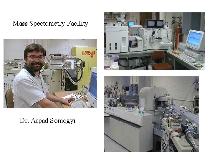 Mass Spectometry Facility Dr. Arpad Somogyi 