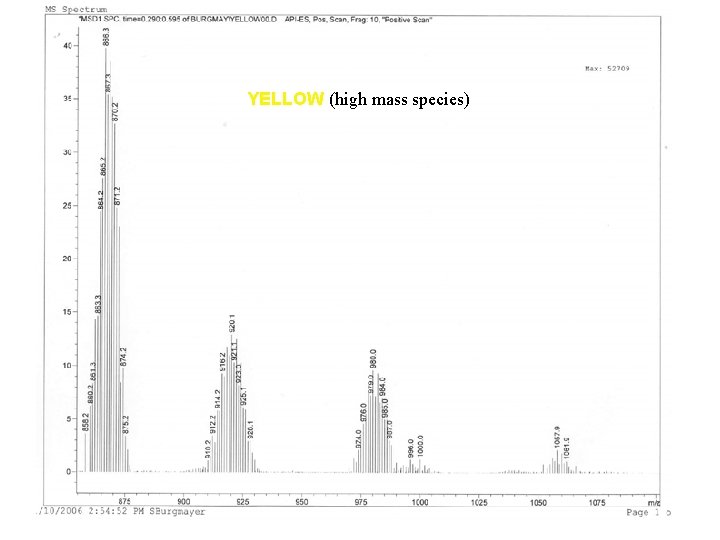 YELLOW (high mass species) 