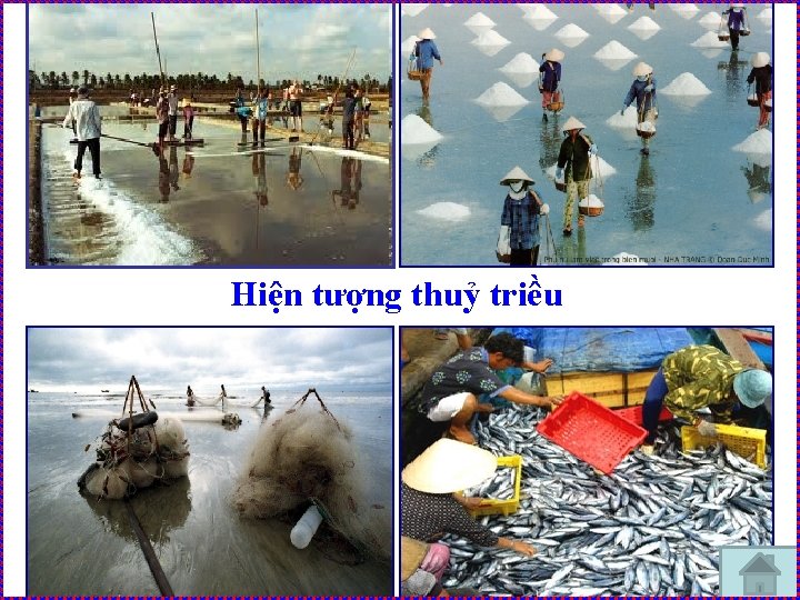 Hiện tượng thuỷ triều 