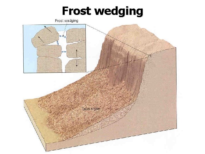 Frost wedging Frost wedging