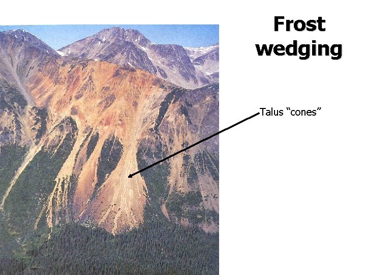 Frost wedging Talus “cones” Frost wedging Talus “cones”