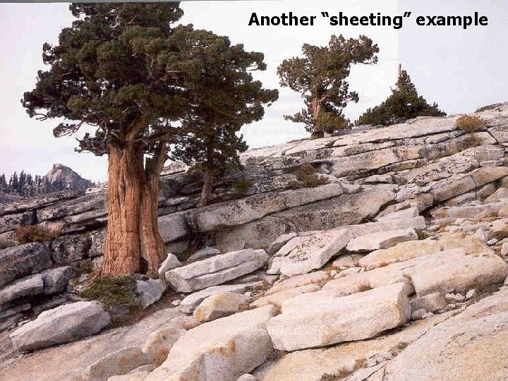 Another “sheeting” example Another “sheeting” example