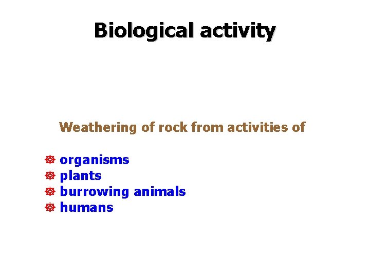 Biological activity Weathering of rock from activities of ] organisms ] plants ] burrowing