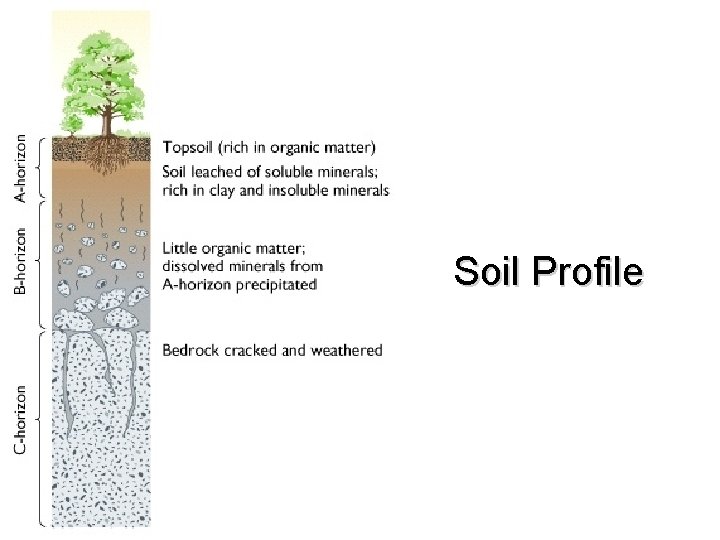 Soil Profile Soil Profile