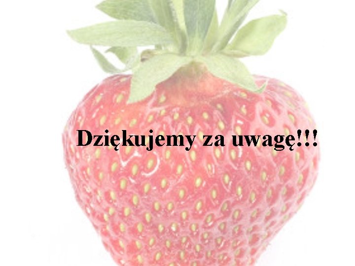 Dziękujemy za uwagę!!! 