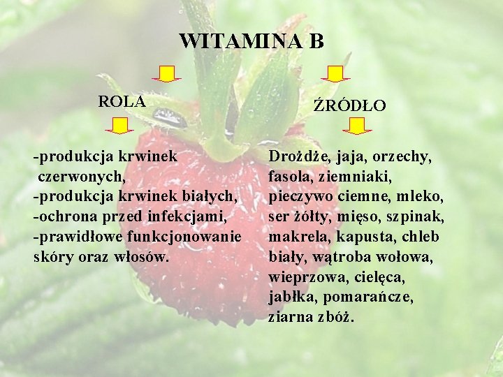 WITAMINA B ROLA -produkcja krwinek czerwonych, -produkcja krwinek białych, -ochrona przed infekcjami, -prawidłowe funkcjonowanie