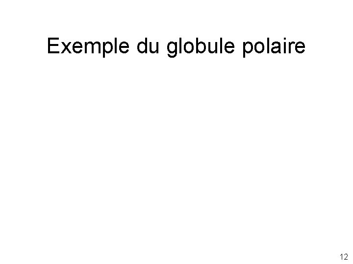 Exemple du globule polaire 12 