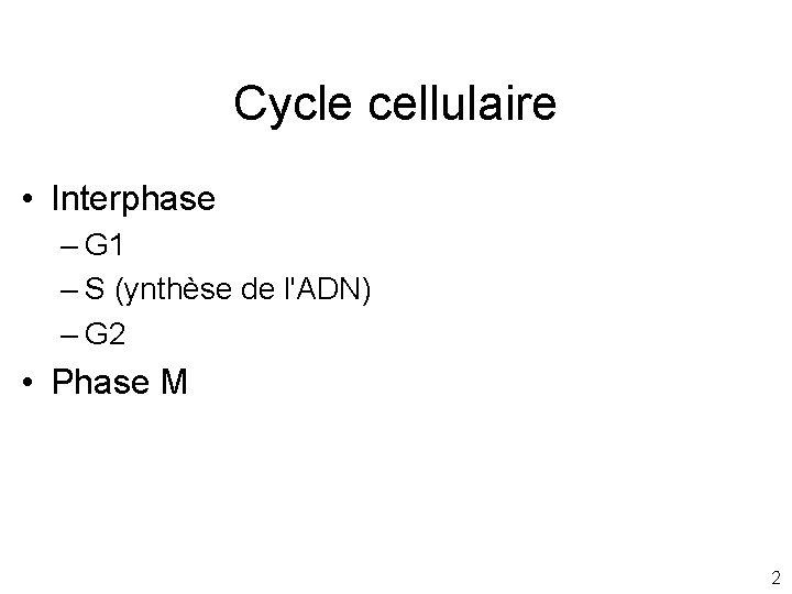 Cycle cellulaire • Interphase – G 1 – S (ynthèse de l'ADN) – G