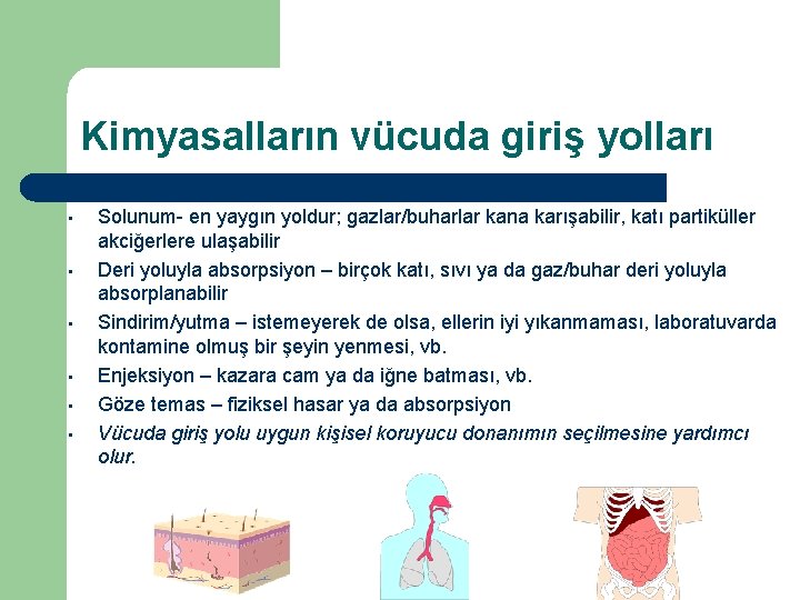 Kimyasalların vücuda giriş yolları • • • Solunum- en yaygın yoldur; gazlar/buharlar kana karışabilir,