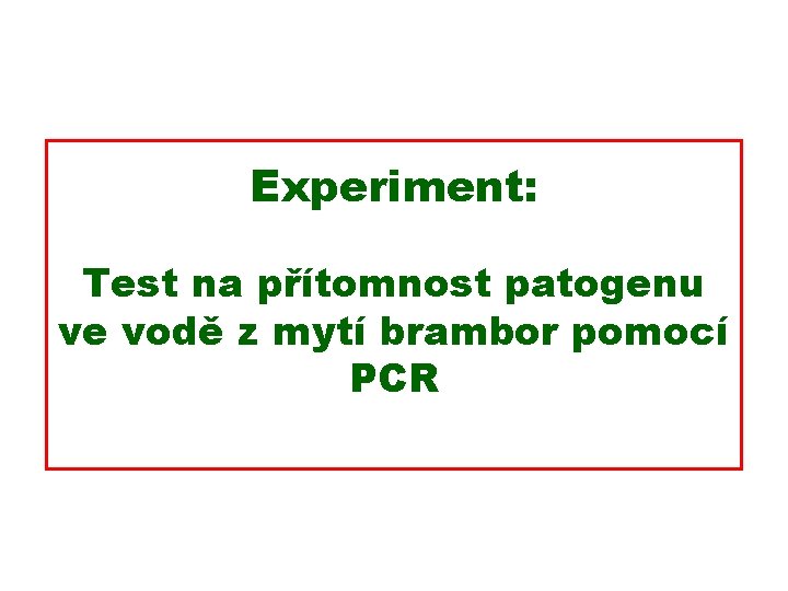 Experiment: Test na přítomnost patogenu ve vodě z mytí brambor pomocí PCR 