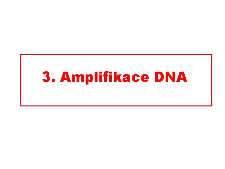 3. Amplifikace DNA 