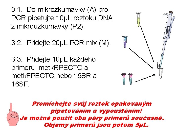 3. 1. Do mikrozkumavky (A) pro PCR pipetujte 10µL roztoku DNA z mikrouzkumavky (P