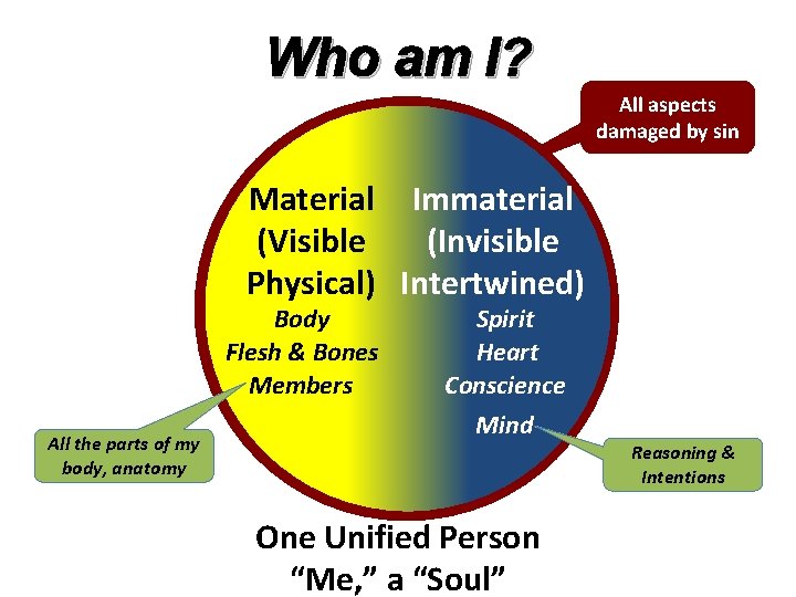 Who am I? All aspects damaged by sin Material Immaterial (Visible (Invisible Physical) Intertwined)