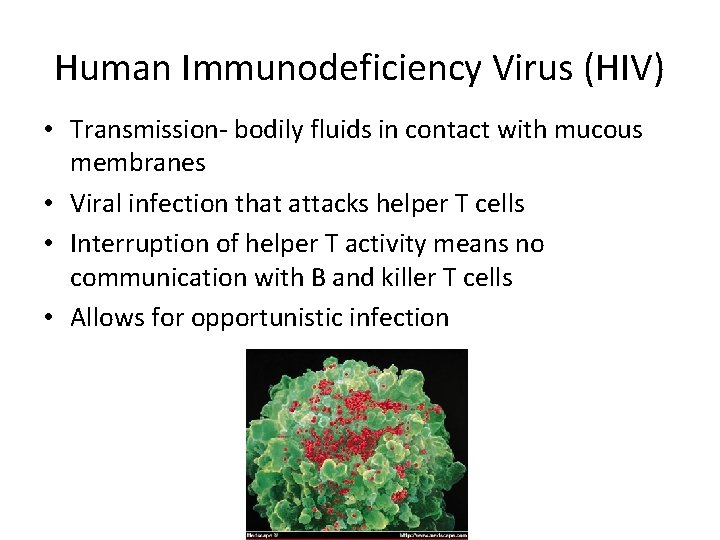 Human Immunodeficiency Virus (HIV) • Transmission- bodily fluids in contact with mucous membranes •