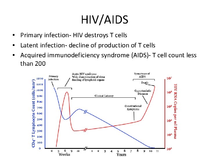 HIV/AIDS • Primary infection- HIV destroys T cells • Latent infection- decline of production