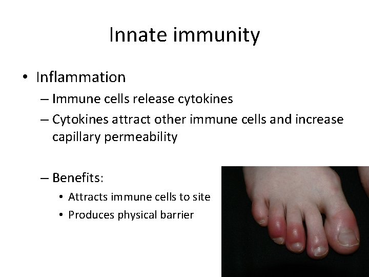 Innate immunity • Inflammation – Immune cells release cytokines – Cytokines attract other immune