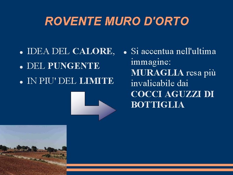 ROVENTE MURO D'ORTO IDEA DEL CALORE, DEL PUNGENTE IN PIU' DEL LIMITE Si accentua