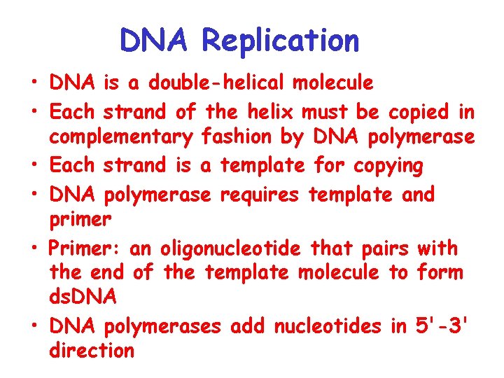 DNA Replication • DNA is a double-helical molecule • Each strand of the helix