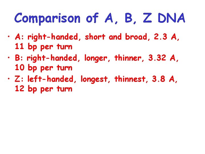 Comparison of A, B, Z DNA • A: right-handed, short and broad, 2. 3