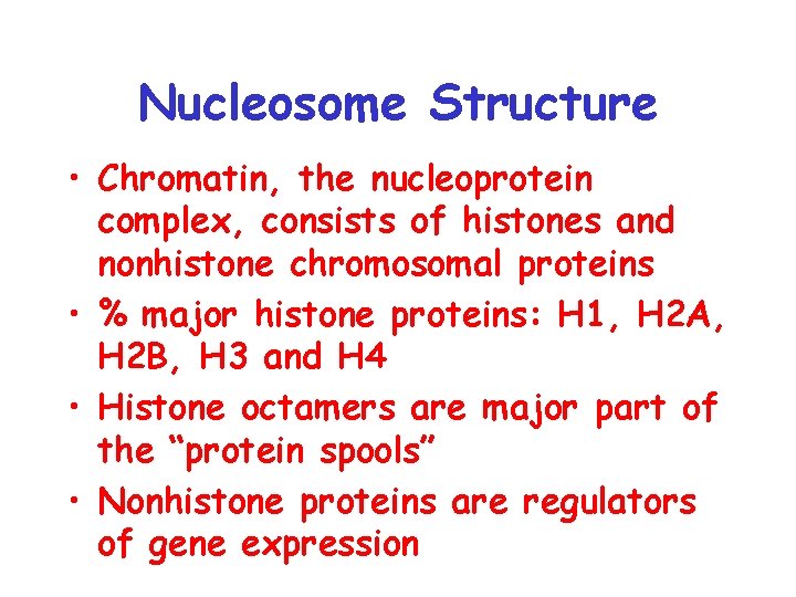 Nucleosome Structure • Chromatin, the nucleoprotein complex, consists of histones and nonhistone chromosomal proteins