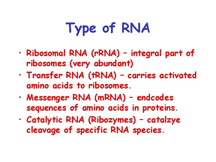 Type of RNA • Ribosomal RNA (r. RNA) – integral part of ribosomes (very
