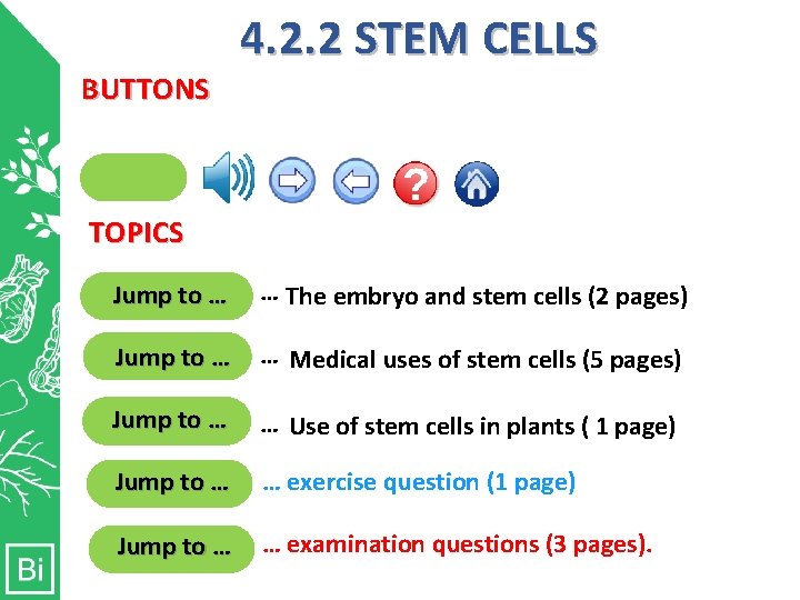 4. 2. 2 STEM CELLS BUTTONS Clicking here will allow you hear information on