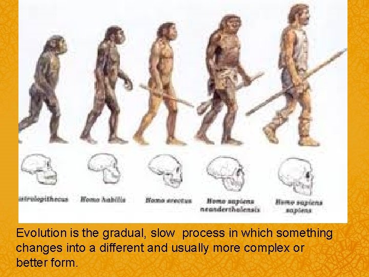 Evolution is the gradual, slow process in which something changes into a different and