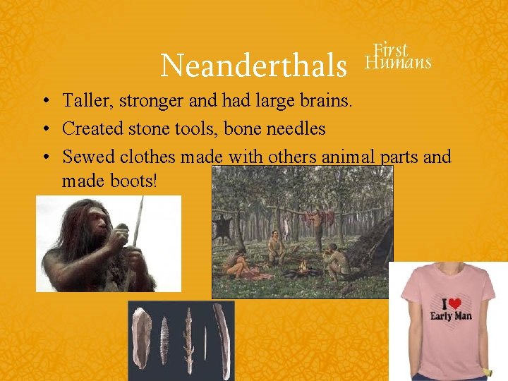 Neanderthals • Taller, stronger and had large brains. • Created stone tools, bone needles