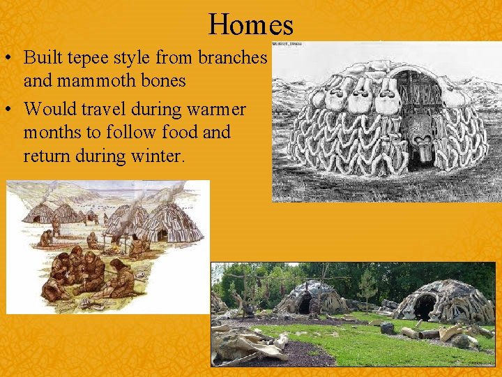 Homes • Built tepee style from branches and mammoth bones • Would travel during