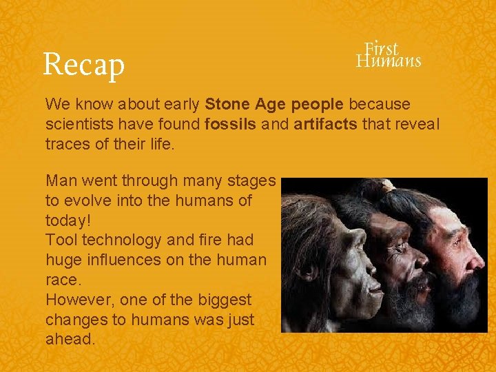 Recap We know about early Stone Age people because scientists have found fossils and