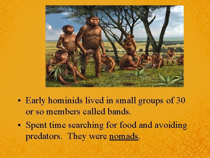  • Early hominids lived in small groups of 30 or so members called