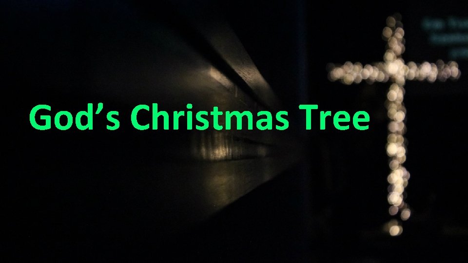 God’s Christmas Tree 