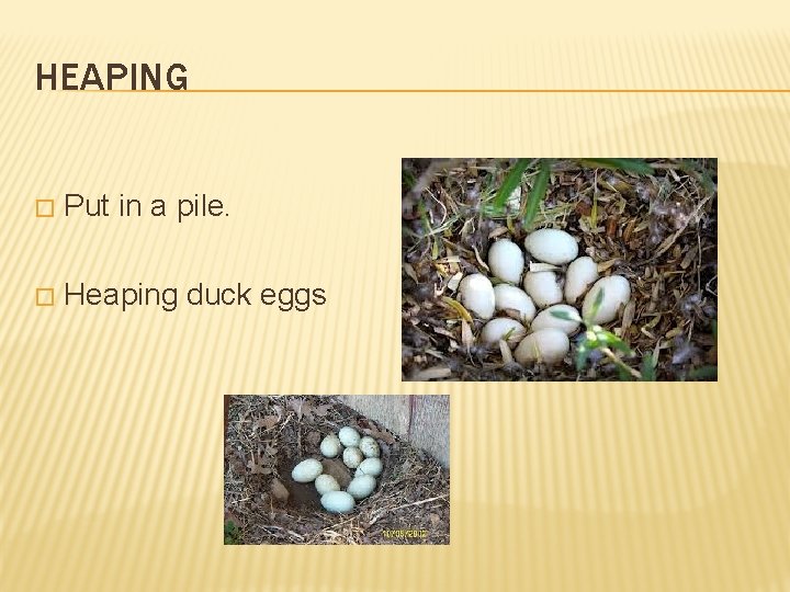 HEAPING � Put in a pile. � Heaping duck eggs 