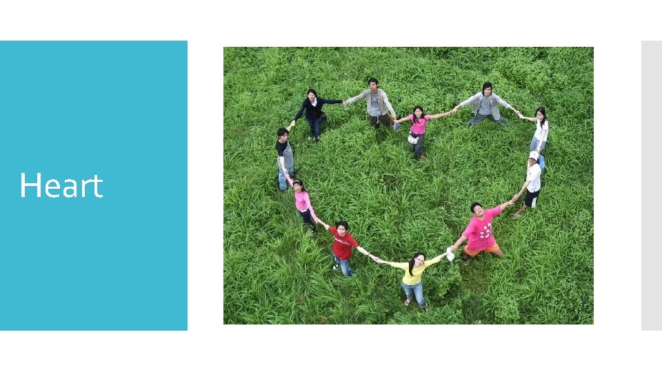 Heart 