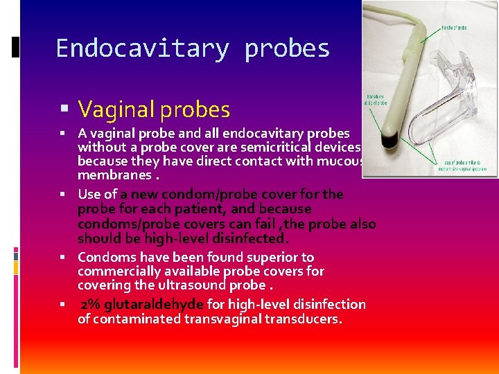 Endocavitary probes Vaginal probes A vaginal probe and all endocavitary probes without a probe