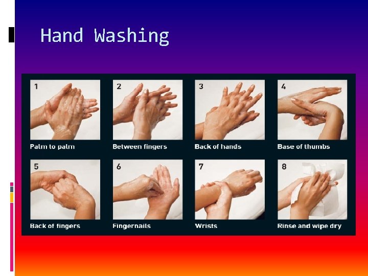 Hand Washing 